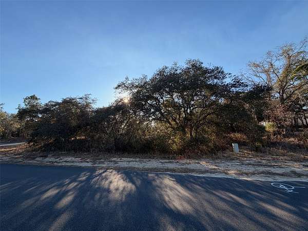 0.29 Acres of Residential Land for Sale in Citrus Springs, Florida