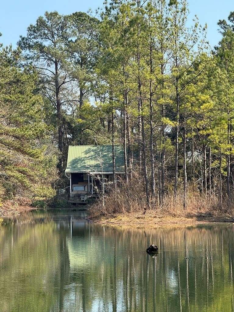 24.3 Acres of Land with Home for Sale in Bainbridge, Georgia