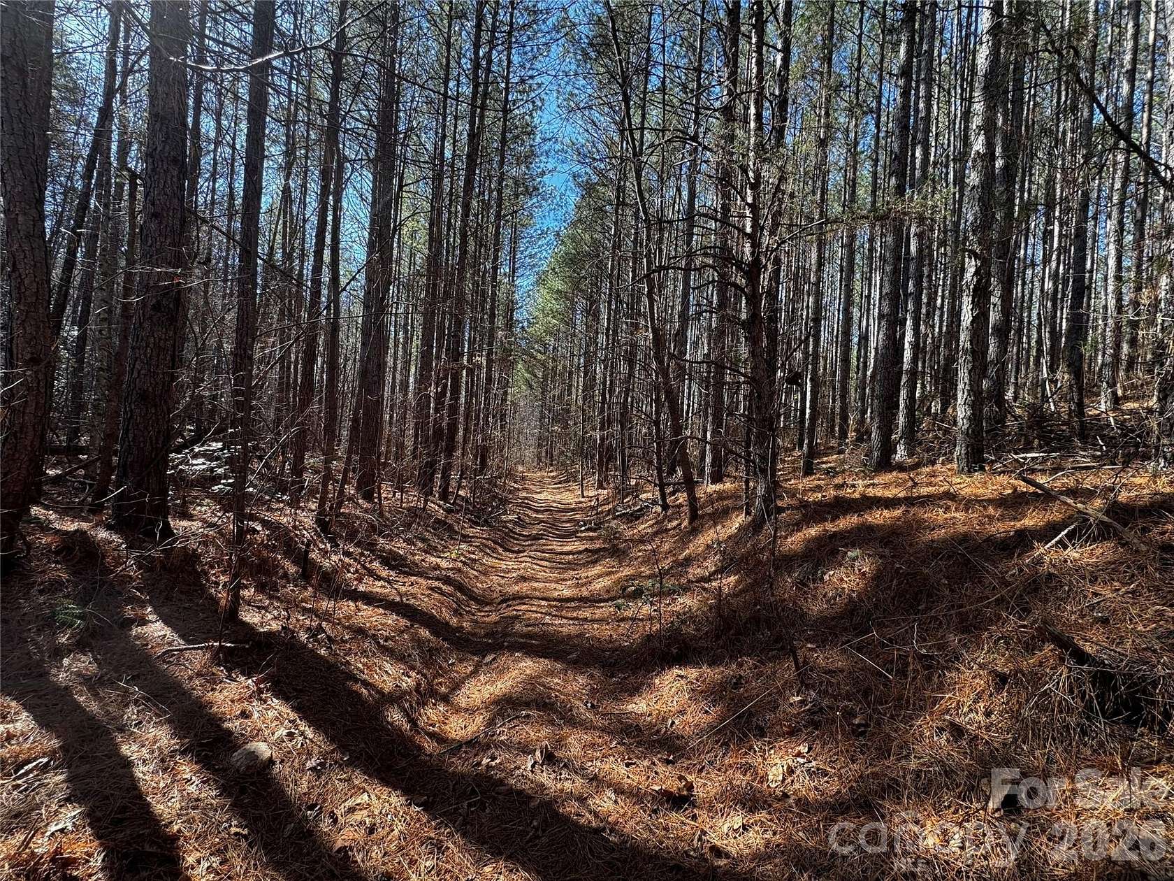 170 Acres of Recreational & Residential Land for Sale in Union Mills, North Carolina