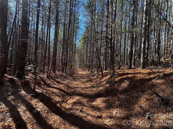 170 Acres of Recreational & Residential Land for Sale in Union Mills, North Carolina