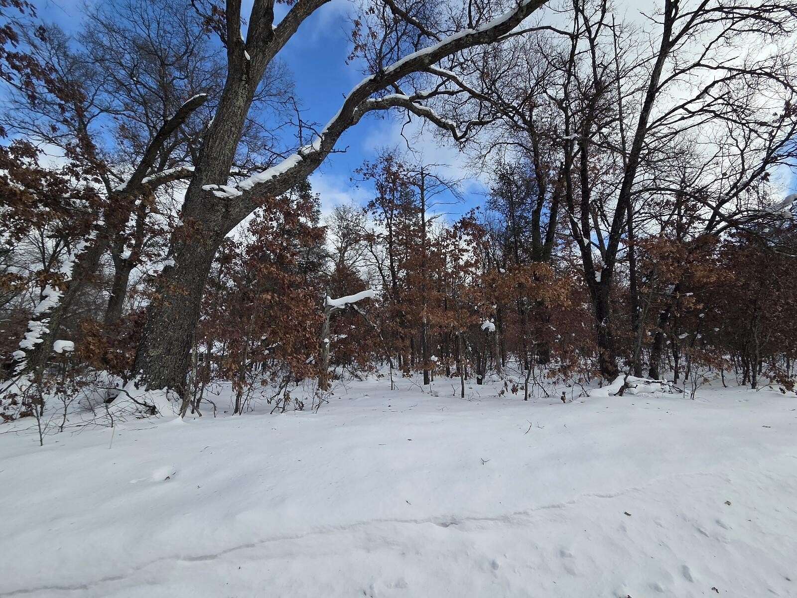 0.54 Acres of Land for Sale in Baldwin, Michigan