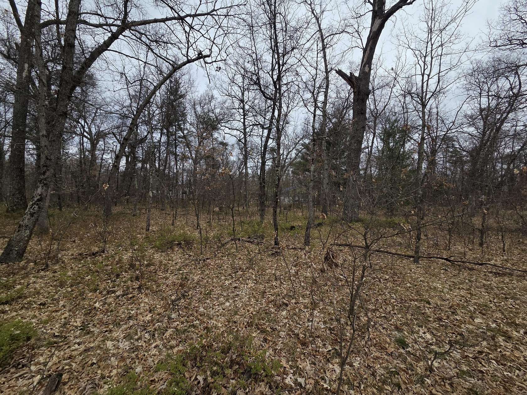 0.54 Acres of Residential Land for Sale in Baldwin, Michigan