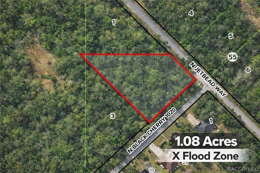 1 Acre of Residential Land for Sale in Crystal River, Florida