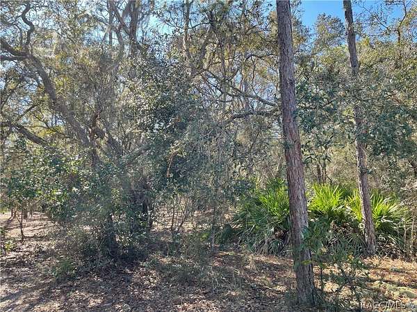 0.23 Acres of Land for Sale in Inverness, Florida