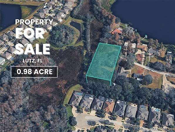 0.98 Acres of Residential Land for Sale in Lutz, Florida