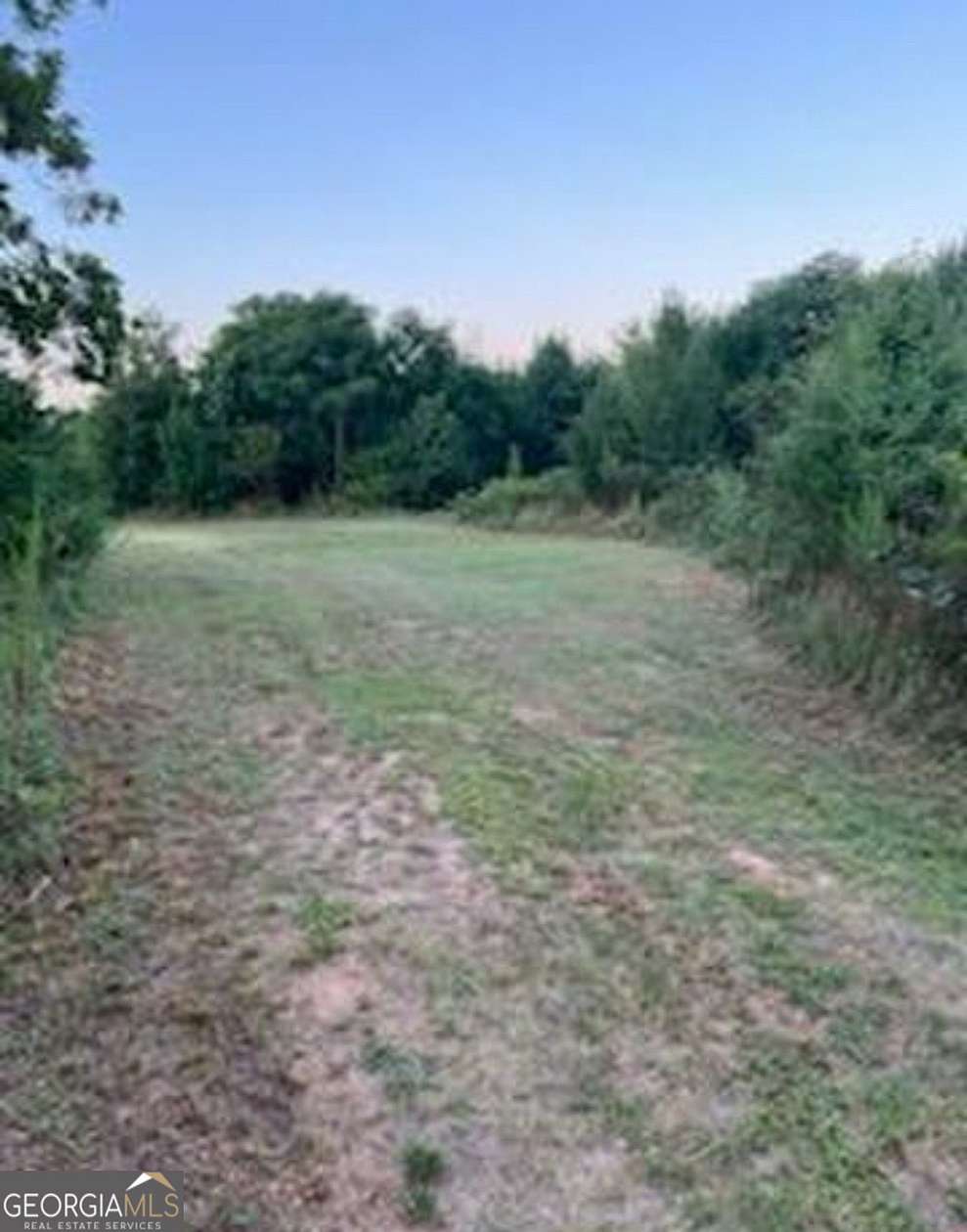 65 Acres of Land for Sale in Hampton, Georgia
