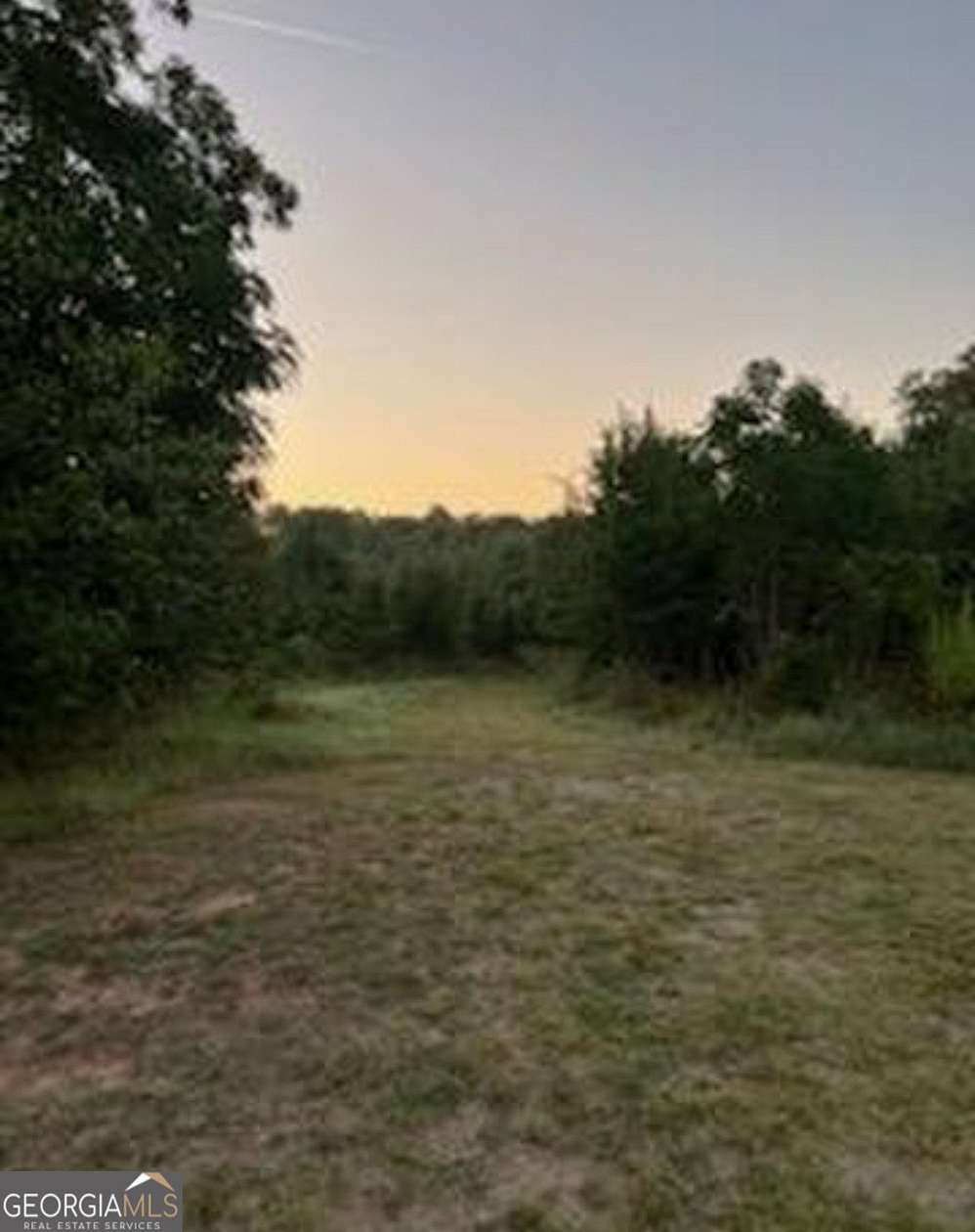3 Acres of Land for Sale in Hampton, Georgia