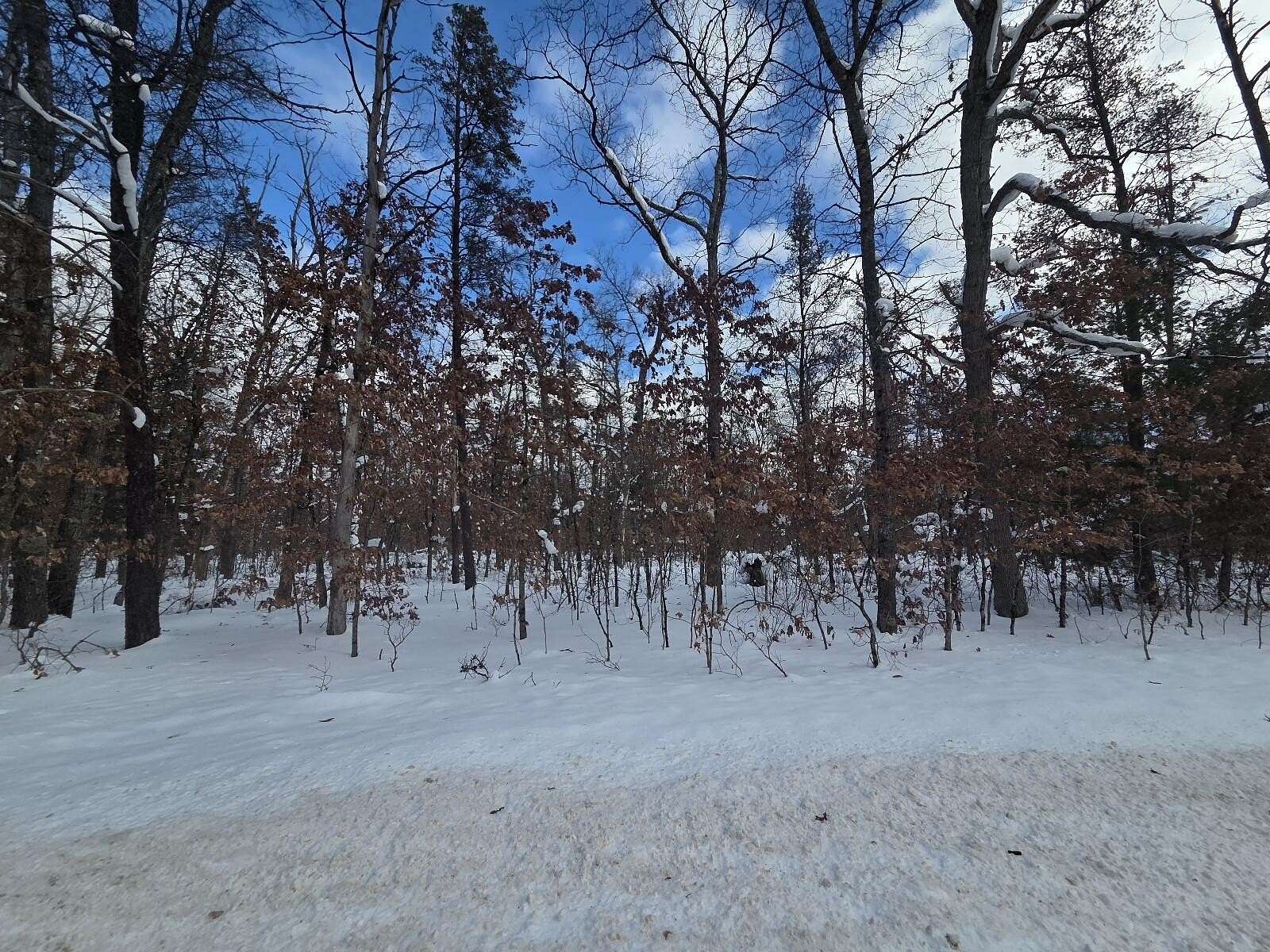 0.28 Acres of Land for Sale in Baldwin, Michigan