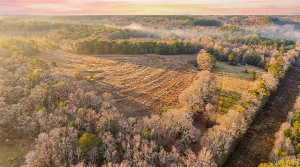 45 Acres of Land for Sale in Troy, Alabama