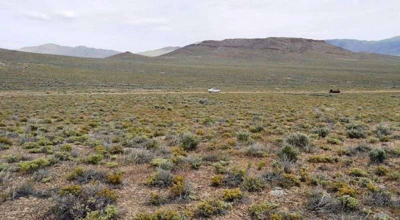 45 Acres of Recreational & Residential Land for Sale in Placerites, Nevada