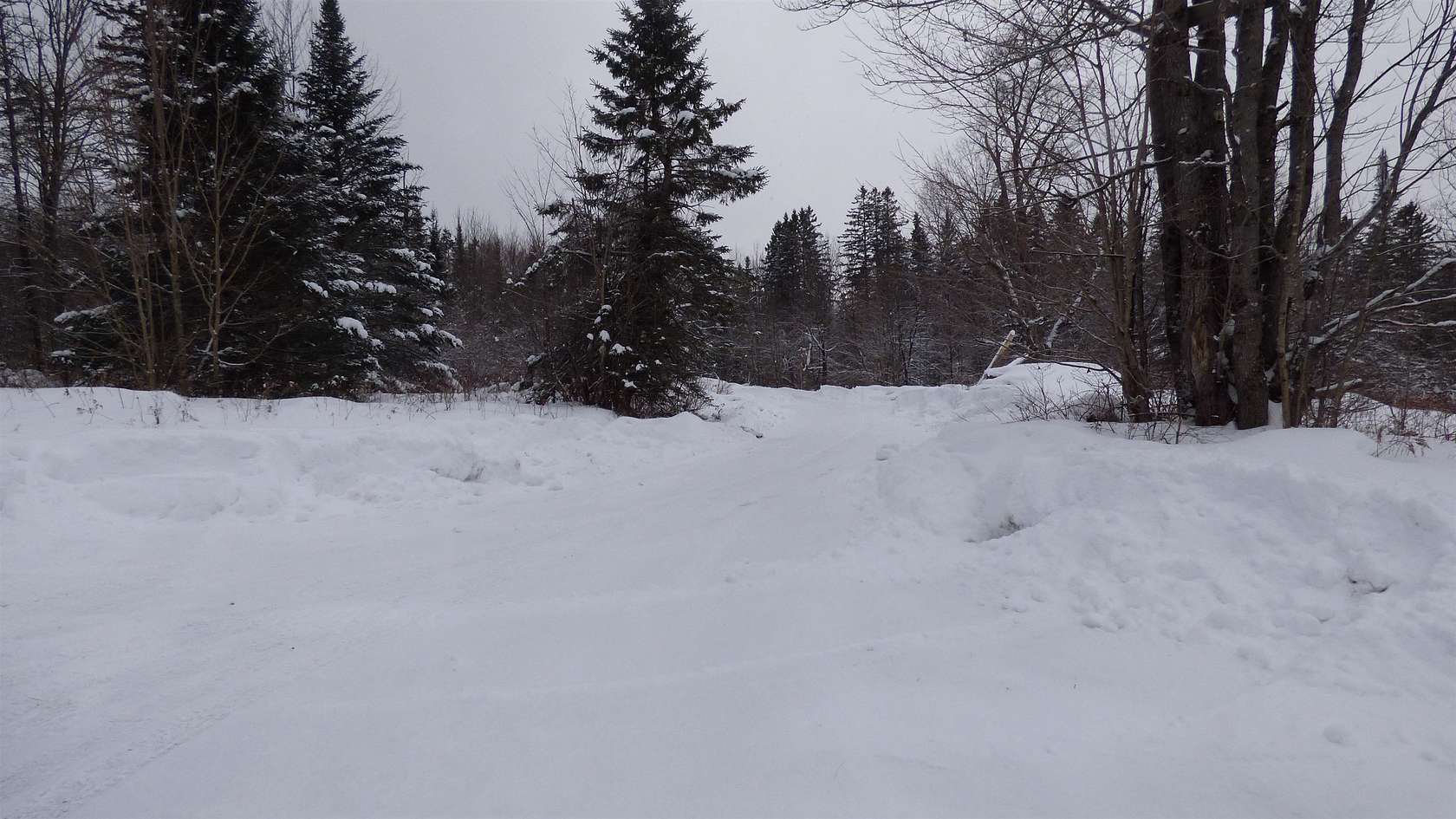 796 Acres of Recreational Land for Sale in Wheelock, Vermont