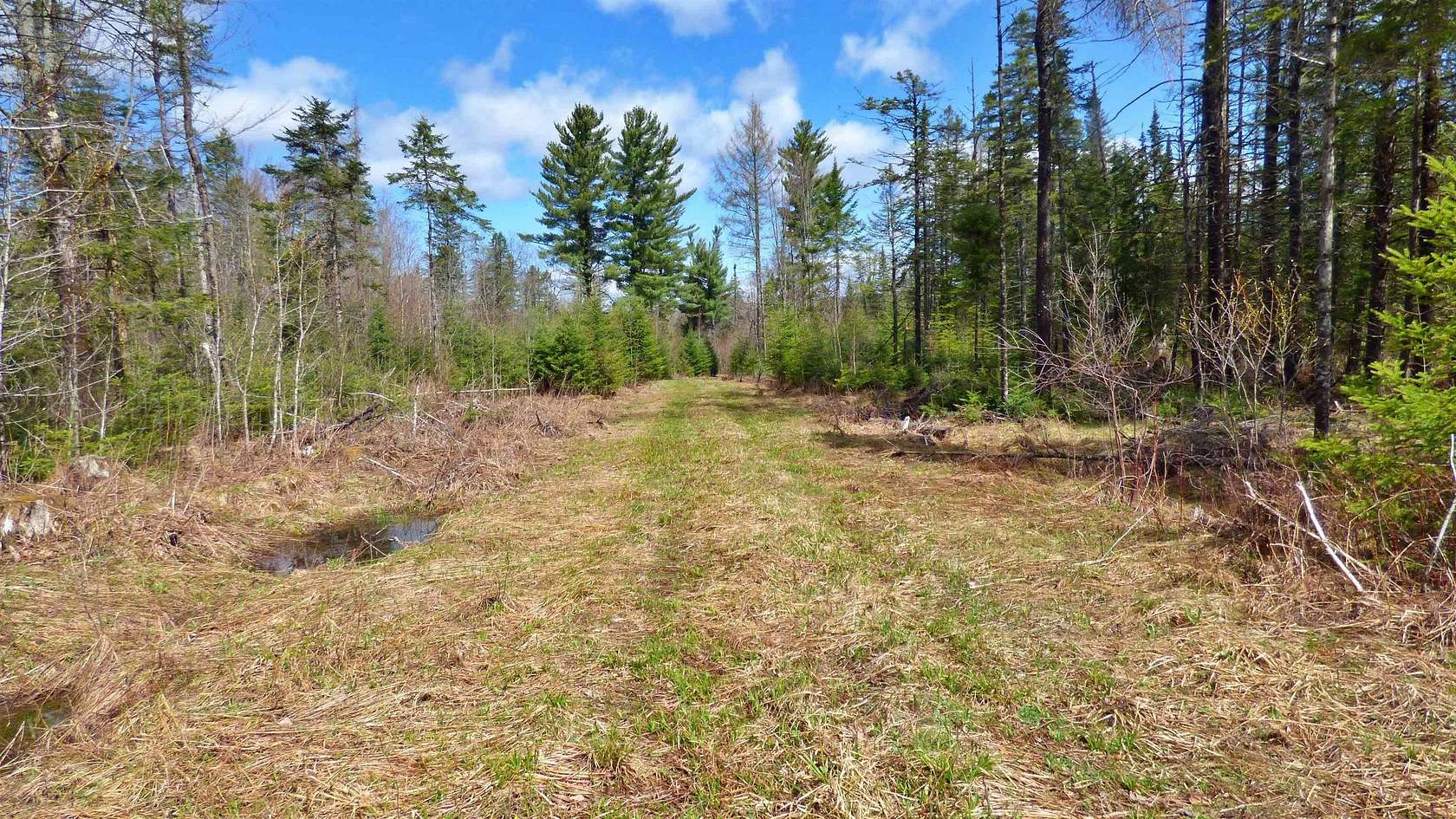 850 Acres of Recreational & Residential Land for Sale in Wheelock, Vermont