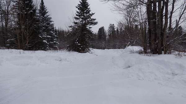 796 Acres of Recreational Land for Sale in Wheelock, Vermont