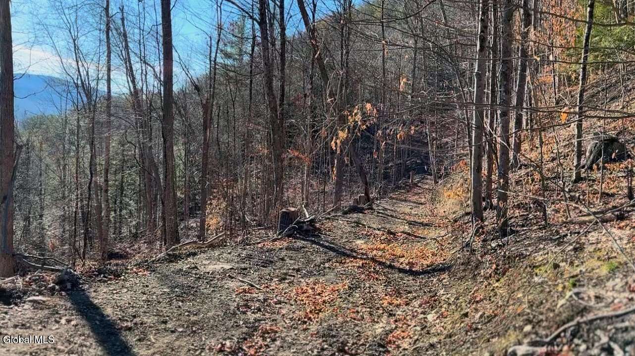 16.8 Acres of Recreational Land for Sale in Middleburgh, New York