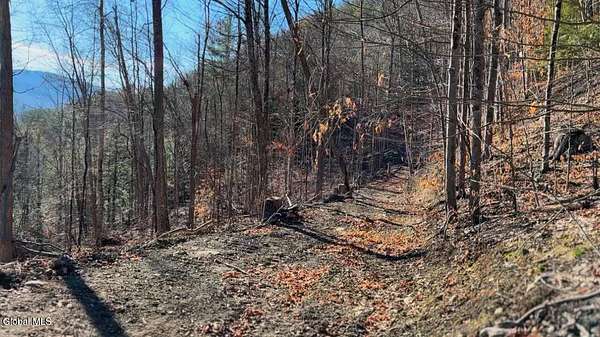 16.8 Acres of Recreational Land for Sale in Middleburgh, New York