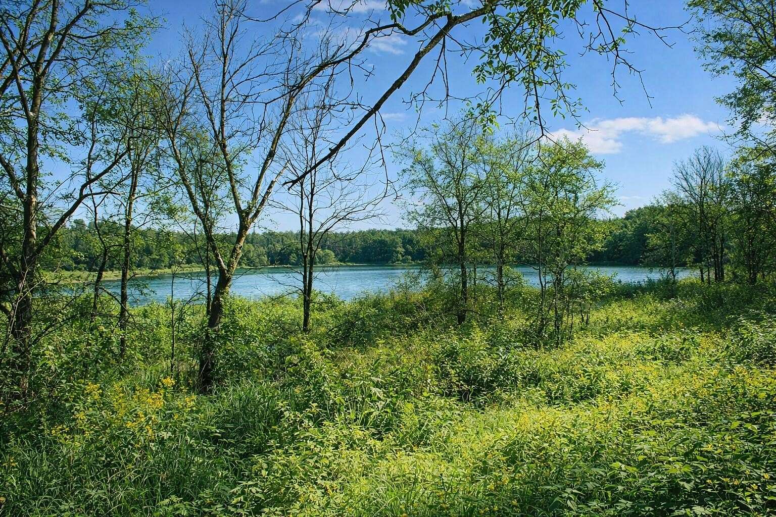 98.8 Acres of Recreational Land for Sale in Jerome, Michigan