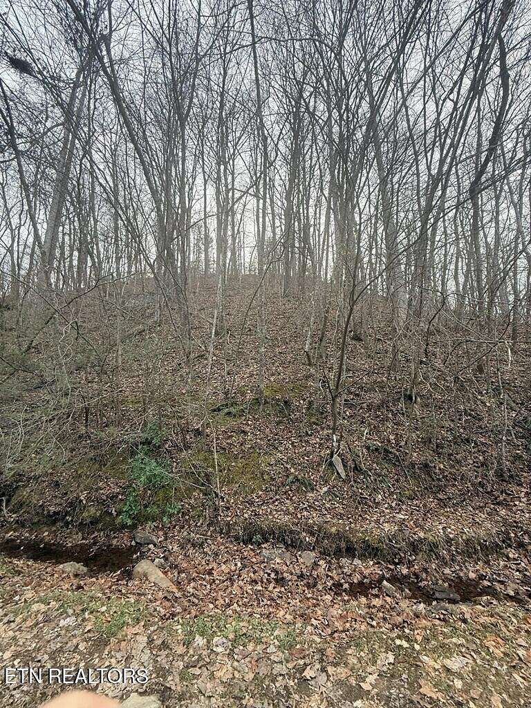 0.45 Acres of Residential Land for Sale in Sevierville, Tennessee