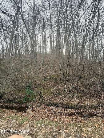 0.45 Acres of Residential Land for Sale in Sevierville, Tennessee