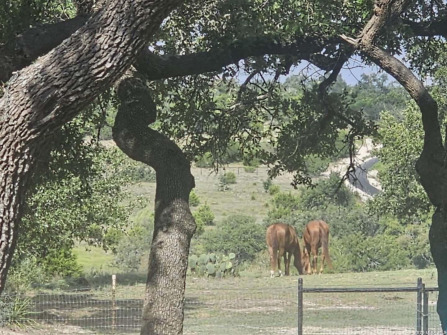 3 Acres of Residential Land for Sale in Spring Branch, Texas