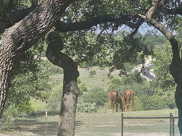 3 Acres of Residential Land for Sale in Spring Branch, Texas