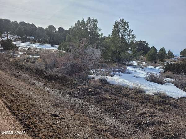 1 Acre of Land for Sale in Reno, Nevada