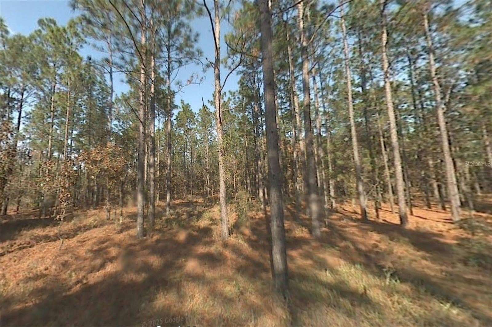 0.92 Acres of Residential Land for Sale in Dunnellon, Florida