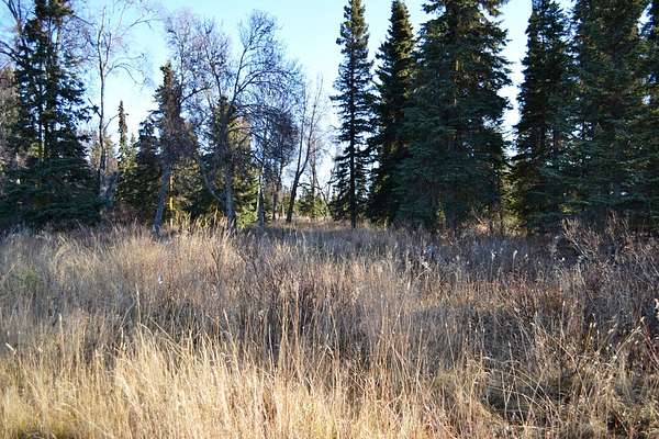 2.5 Acres of Residential Land for Sale in Anchor Point, Alaska