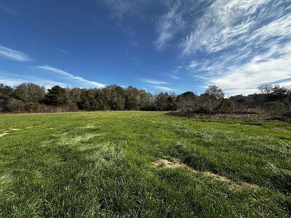 5 Acres of Residential Land for Sale in Baker, Florida