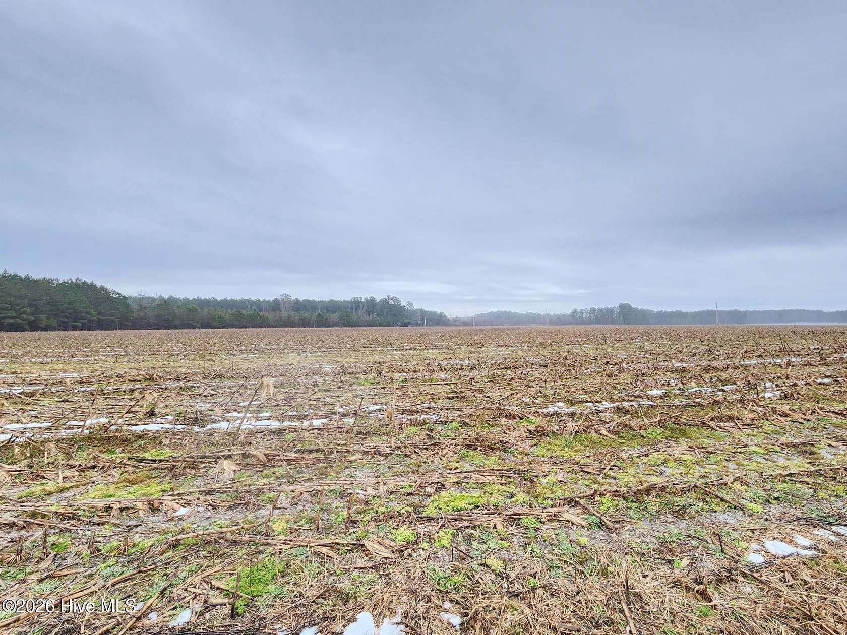 20.8 Acres of Agricultural & Residential Land for Sale in Tabor City, North Carolina