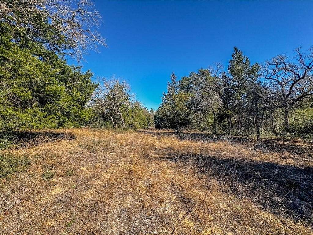 10 Acres of Recreational Land for Sale in Caldwell, Texas