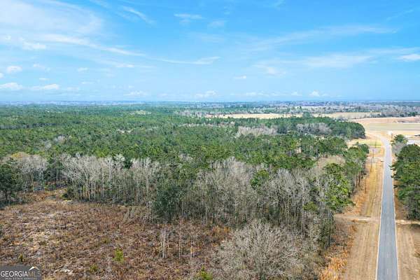 42 Acres of Recreational Land for Sale in Odum, Georgia