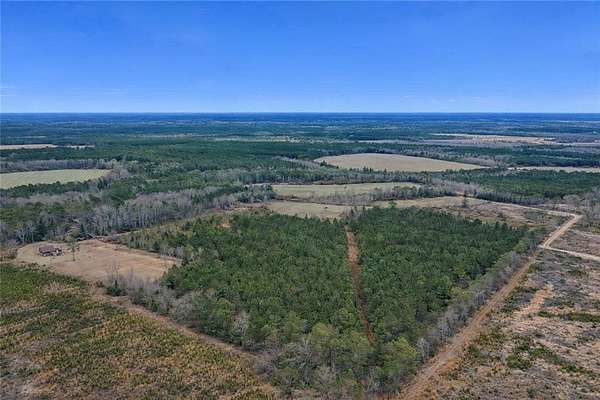 108 Acres of Land for Sale in Odum, Georgia
