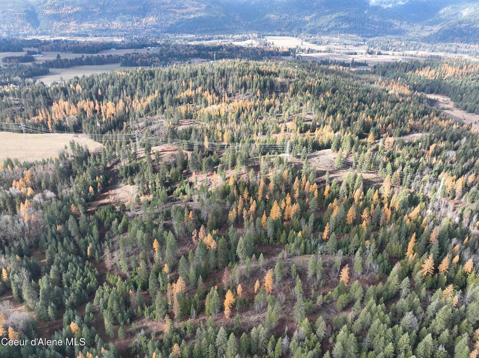 40 Acres of Agricultural Land for Sale in Sandpoint, Idaho
