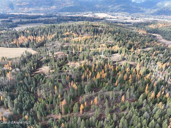 40 Acres of Agricultural Land for Sale in Sandpoint, Idaho