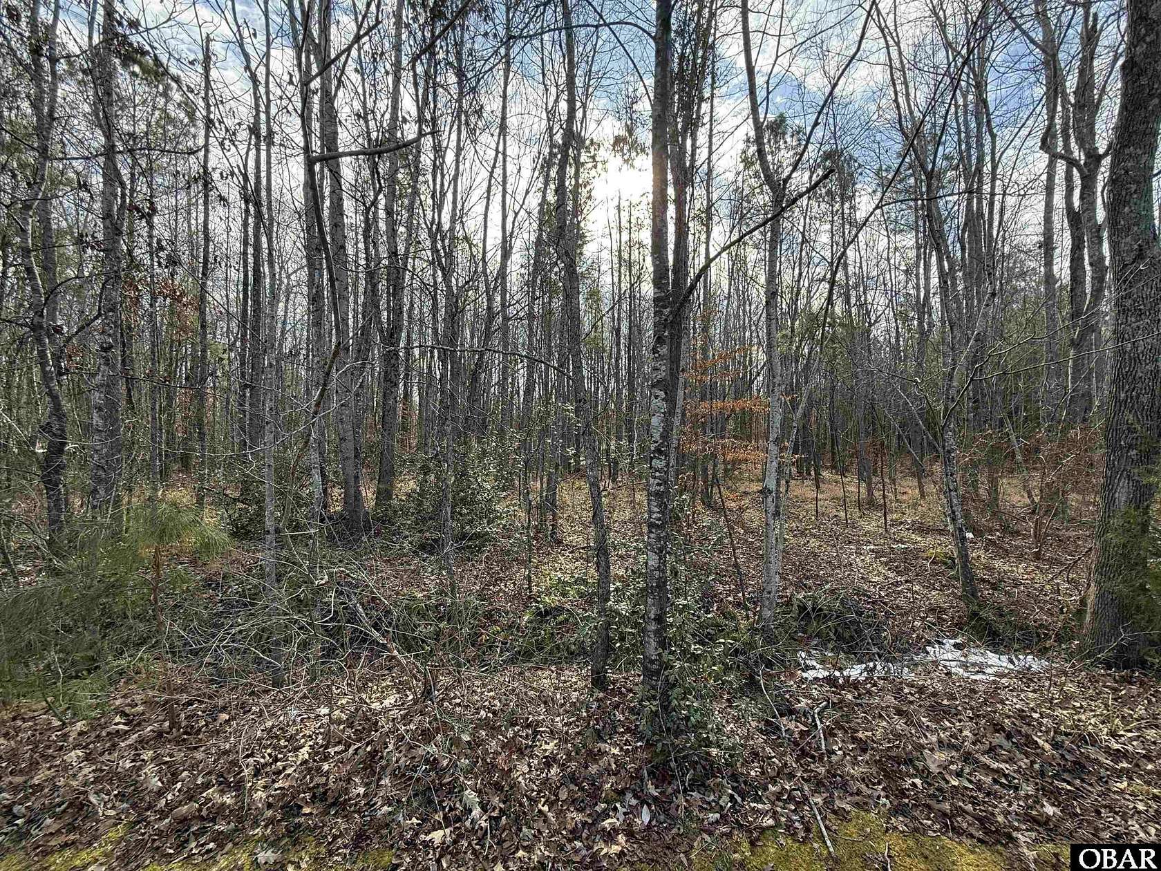 0.92 Acres of Residential Land for Sale in Roper, North Carolina