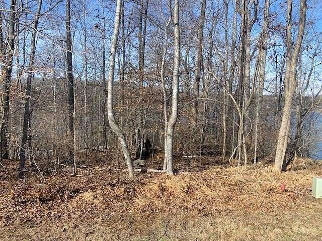 1 Acre of Residential Land for Sale in Goodview, Virginia