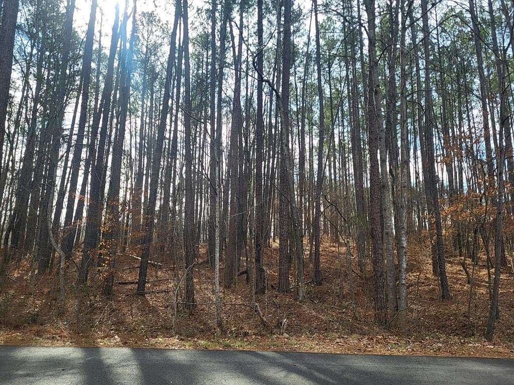 0.5 Acres of Residential Land for Sale in Sparta, Georgia