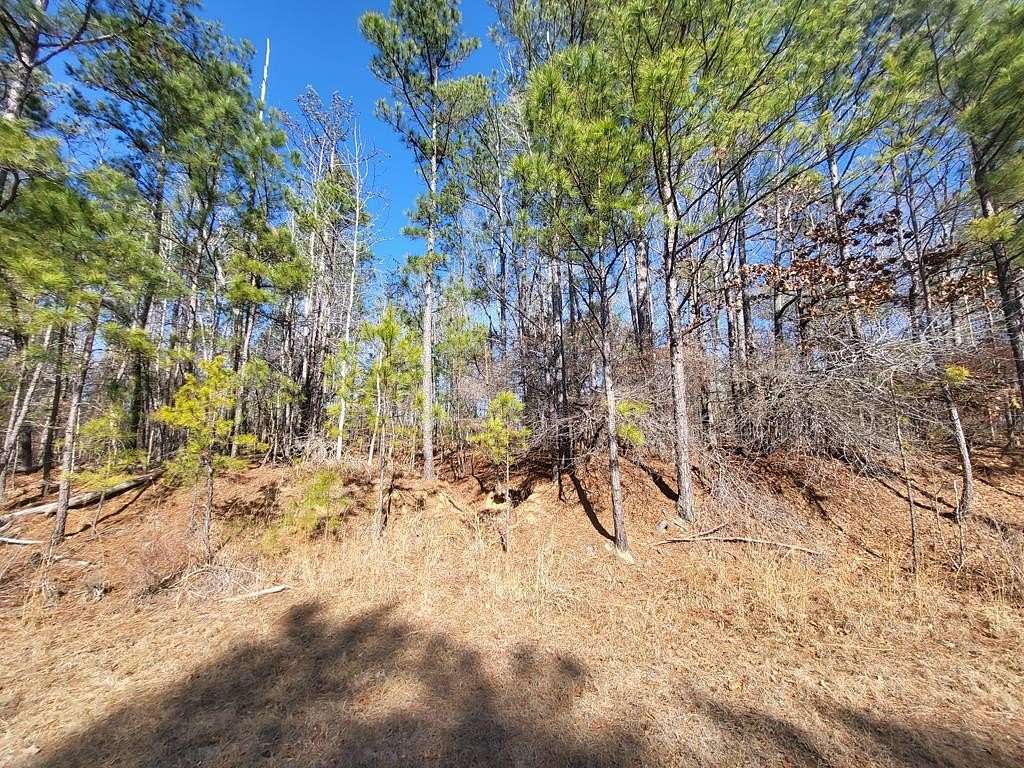 0.5 Acres of Residential Land for Sale in Sparta, Georgia