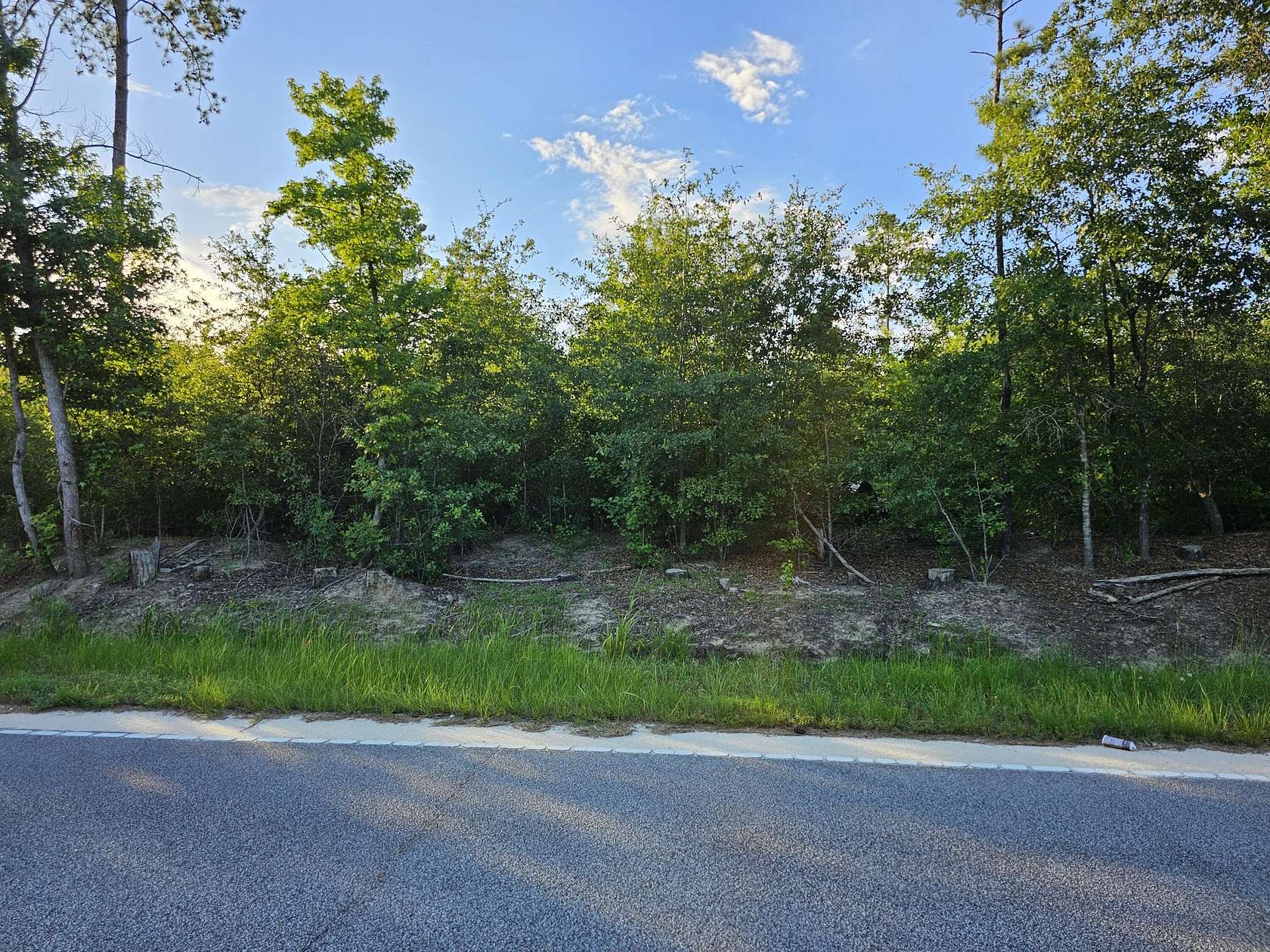 1 Acre of Residential Land for Sale in Rembert, South Carolina