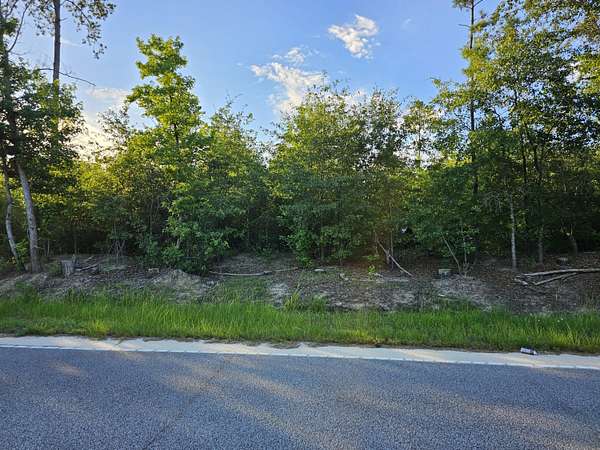 1 Acre of Residential Land for Sale in Rembert, South Carolina