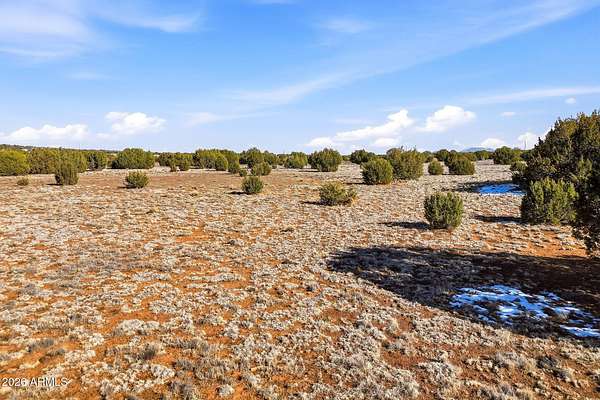 6.3 Acres of Residential Land for Sale in Concho, Arizona