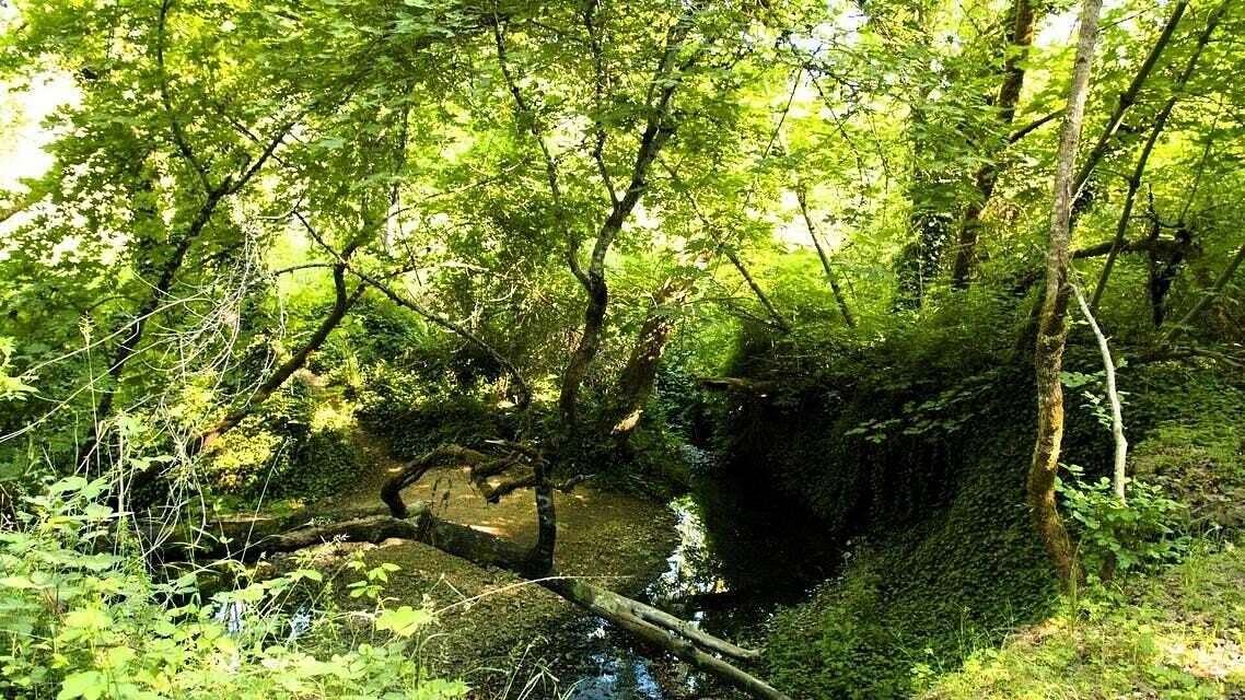 0.17 Acres of Residential Land for Sale in Grants Pass, Oregon