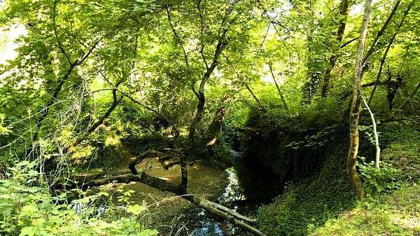 0.17 Acres of Residential Land for Sale in Grants Pass, Oregon