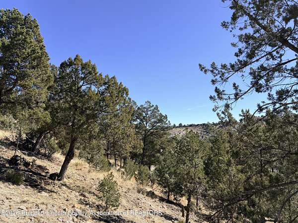 1.22 Acres of Residential Land for Sale in Alto, New Mexico
