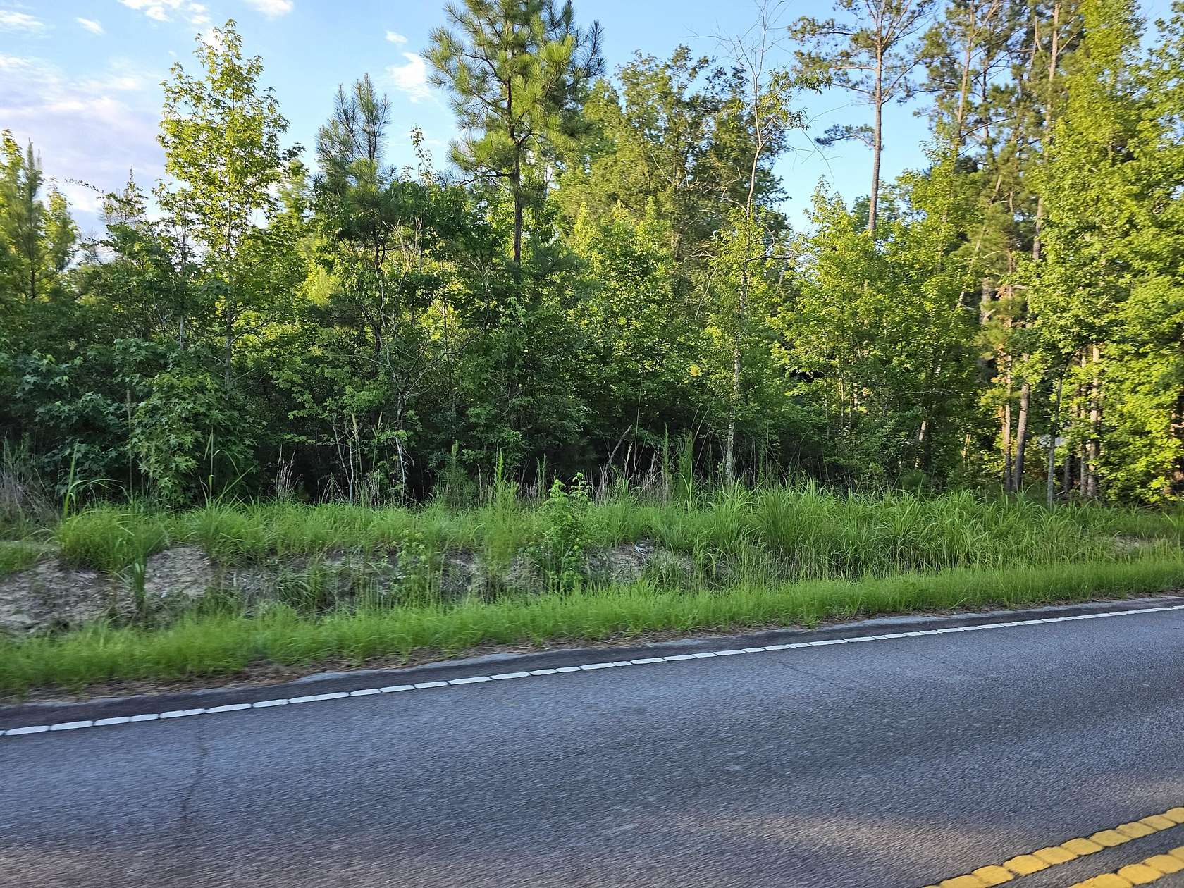 1 Acre of Residential Land for Sale in Rembert, South Carolina