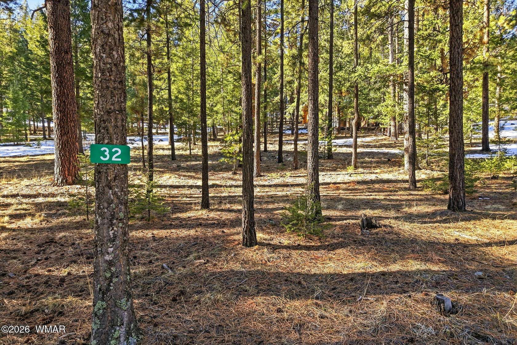 1 Acre of Residential Land for Sale in Greer, Arizona