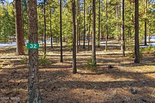 1 Acre of Residential Land for Sale in Greer, Arizona