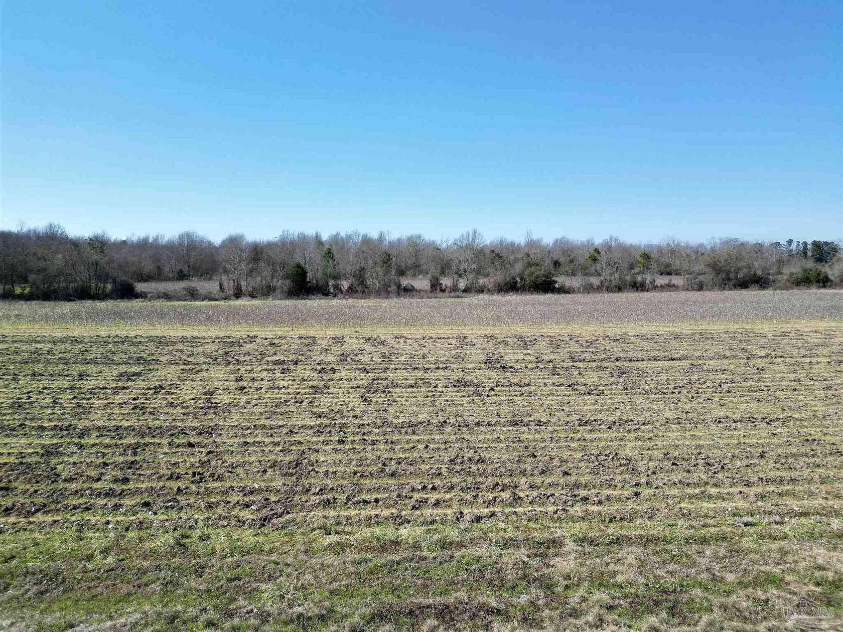5 Acres of Land for Sale in Atmore, Alabama