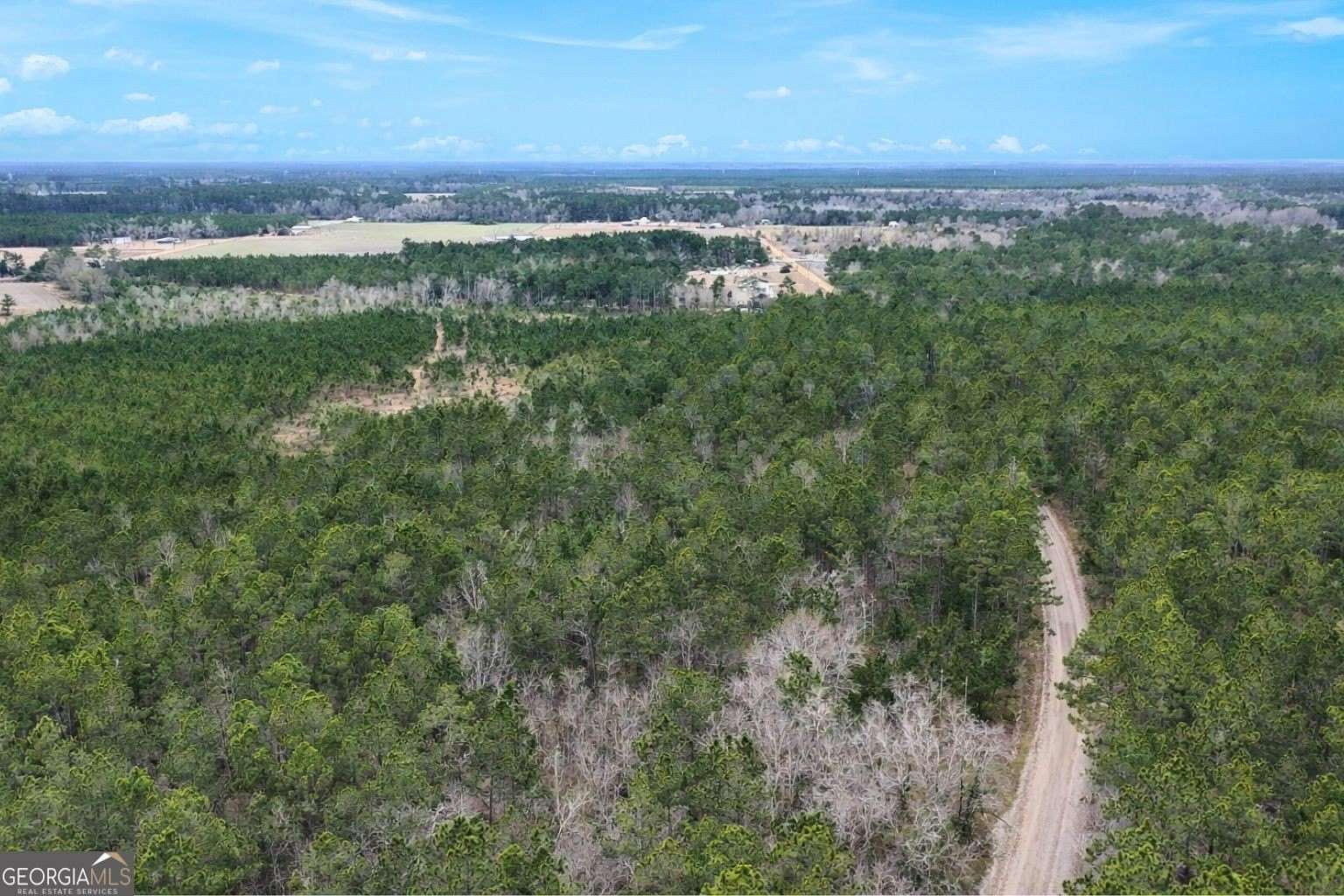 15 Acres of Land for Sale in Odum, Georgia