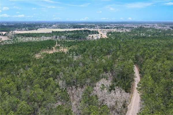 17.8 Acres of Land for Sale in Odum, Georgia
